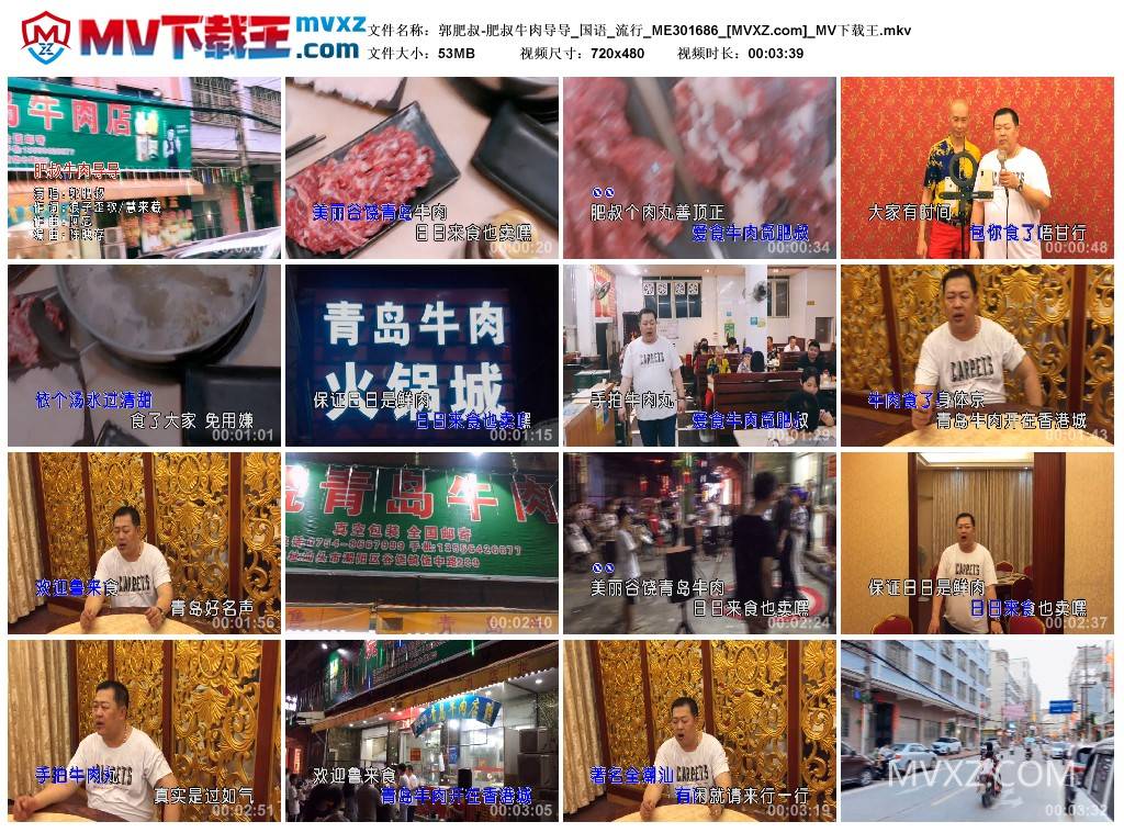 郭肥叔-肥叔牛肉导导_国语_流行_ME301686